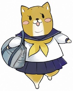 Shiba Inuko-san