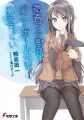 Seishun Buta Yarou - Novel